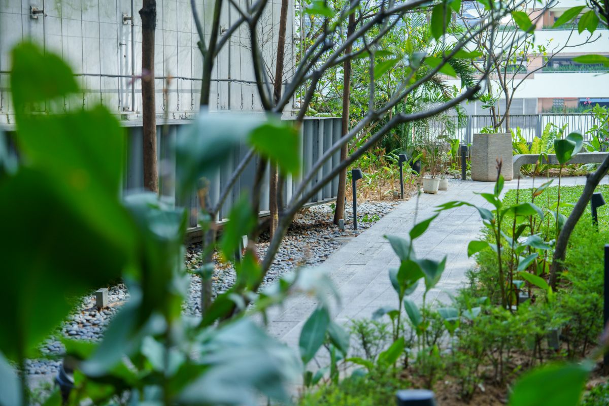 Sky Deck and Garden