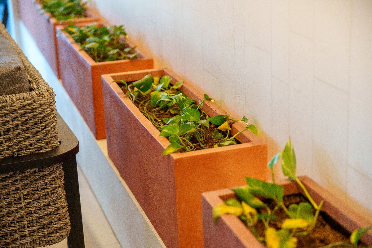Put in Some Greenery